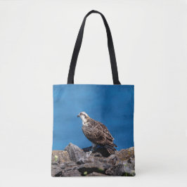 Bolso De Tela Osprey sobre las rocas
