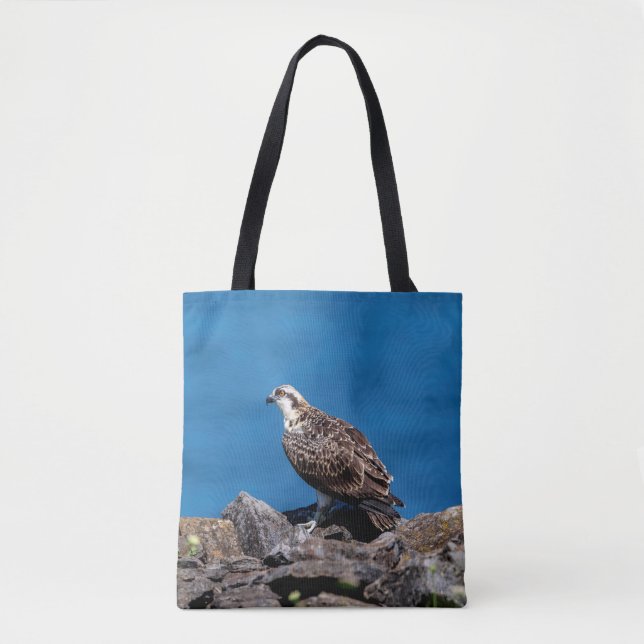 Bolso De Tela Osprey sobre las rocas (Anverso)