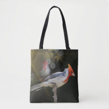 Pájaro cardenal de la cresta roja