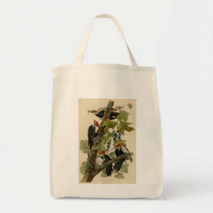 Bolso De Tela Pájaro leñoso perpendicular de las aves auduónicas