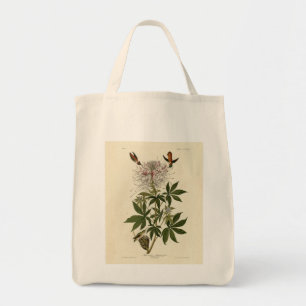 Bolso De Tela Pájaro tartamudo de cuello espumoso, pájaros auduó