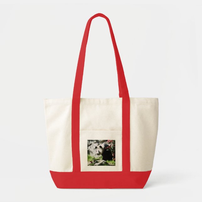 Bolso De Tela Panda Smile (Frente)