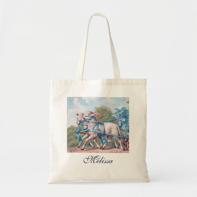 Bolso De Tela Paneles de época vestidos con cintas azules (Frente)