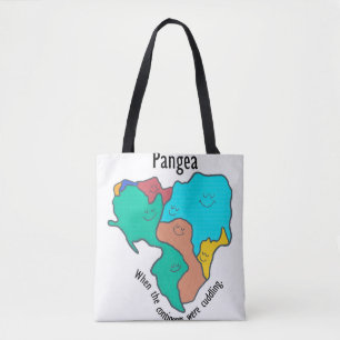Bolso De Tela Pangea Continentes Acariciando Multicolor