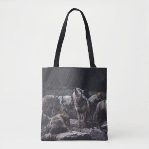 BOLSO DE TELA PAQUETE DE FÚTBOL EN FORMACIÓN ROCA