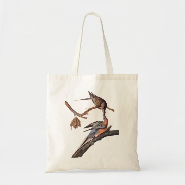 Bolso De Tela Pareja auduónica de cirujanos pasajeros besándose (Frente)