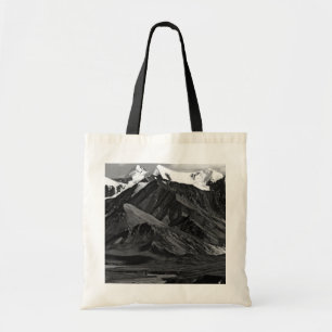 Bolso De Tela Parque nacional Vintage USA Alaska Mt Mckinley