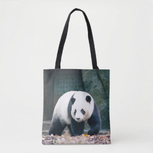 BOLSO DE TELA PASEANDO POR PANDA FRENTE AL EDIFICIO CONCRETO