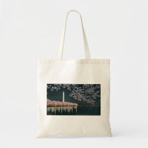 Bolso De Tela PAU42 Washington en Night.tif