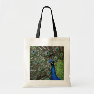 Bolso De Tela Pavo real