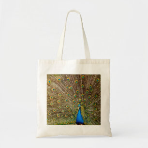 Bolso De Tela Peacock Tail Feathers