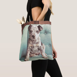 Bolso De Tela Pequeño perrito lindo en silla verde azulada