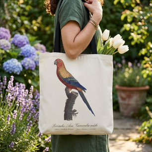 Bolso De Tela Perico Sol, Aratinga Solstitialis