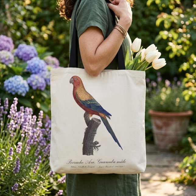 Bolso De Tela Perico Sol, Aratinga Solstitialis (Sun Parakeet Male, Aratinga Solstitialis. Tote Bag)