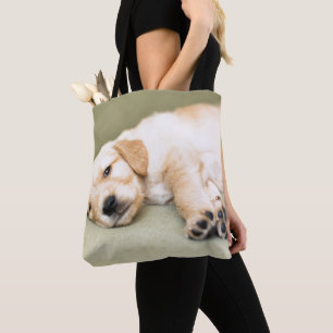 Bolso De Tela Perrito que se acuesta en el sofá