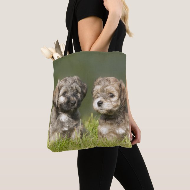 Bolso De Tela Perritos de Havanese (Detalle)