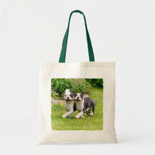 Bolso De Tela Perritos divertidos de Boston Terrier jugando -