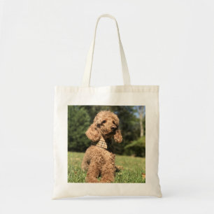 Bolso De Tela Personalizable Apricot Poodle