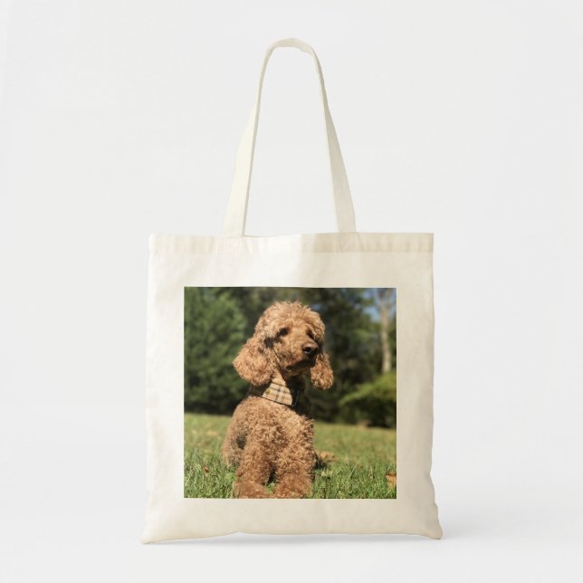 Bolso De Tela Personalizable Apricot Poodle (Frente)