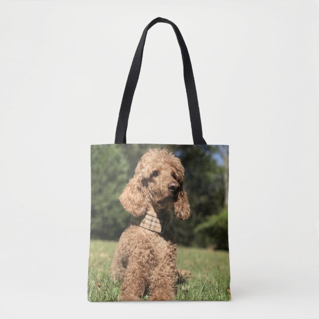 Bolso De Tela Personalizable Apricot Poodle (Anverso)