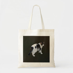 Bolso De Tela Pestaña Blanca Con Parches Oscuros