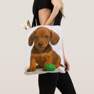 Bolso De Tela Piernas pequeñas, juguete grande - Pup Dachshund