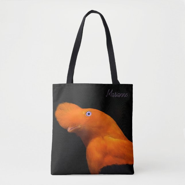 Bolso De Tela Piloto andino (Anverso)