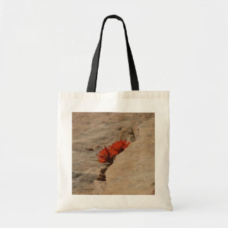 Bolso De Tela Pincel indio en rocas en Zion