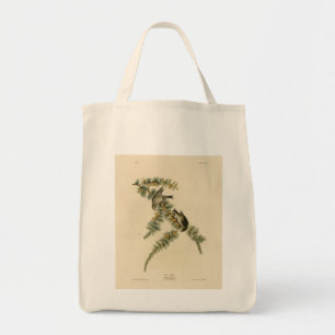 Bolso De Tela Pine Finch (Pine Siskin), Aves Audubon de América