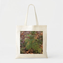 Bolso De Tela Pine Tree Sapling Photo Canvas Tote Bag