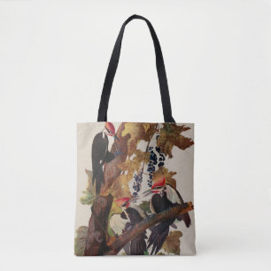 Bolso De Tela Pintado de pájaro carpintero con basculante Audubo