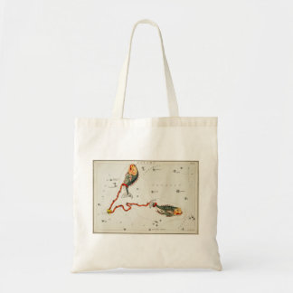 Bolso De Tela Pisces tote bag
