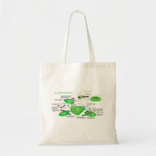 Bolso De Tela Planta de hojas del diagrama de fotosíntesis C4