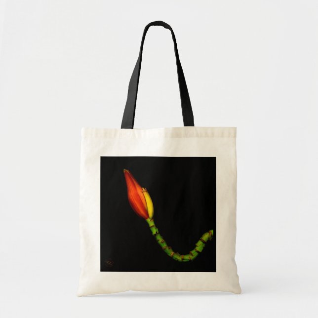 Bolso De Tela Plantas en los totes - flor roja del plátano (Frente)