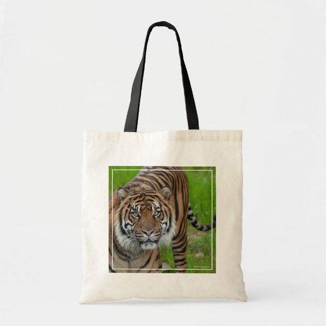 Bolso De Tela plantilla (Frente)