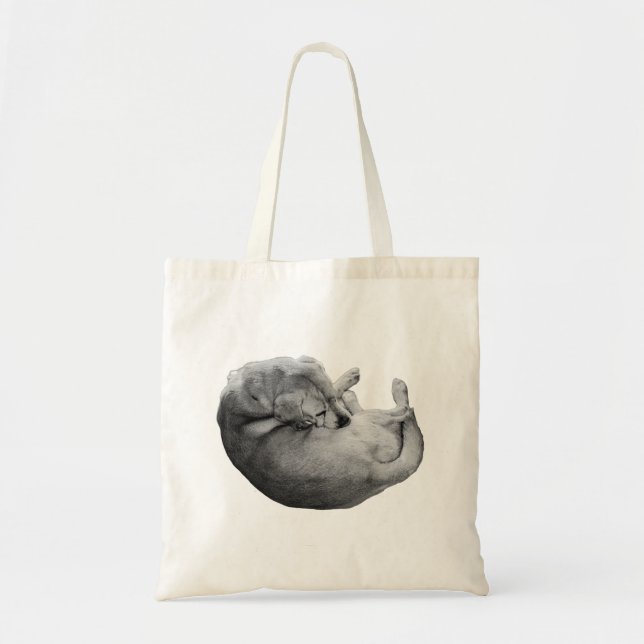 Bolso De Tela plegado en caída (Frente)