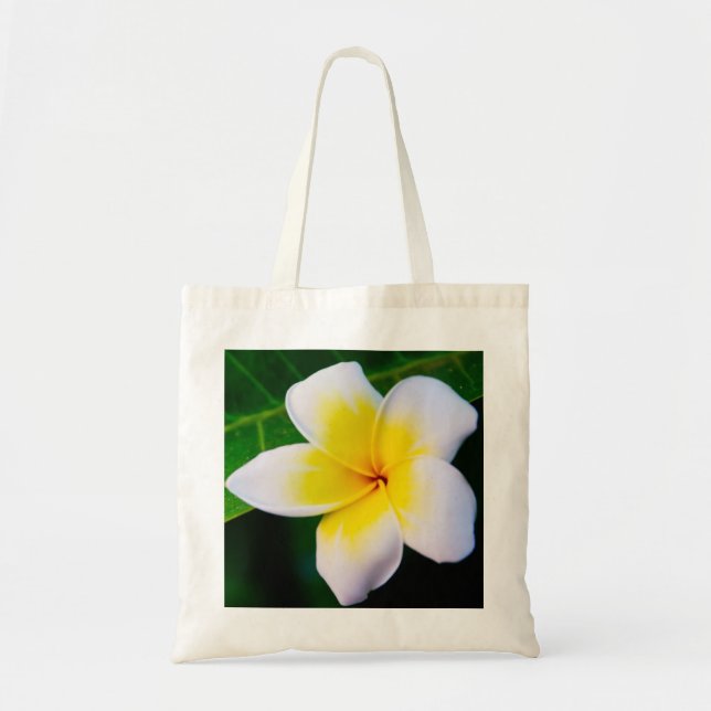 Bolso De Tela Plumeria (Frente)
