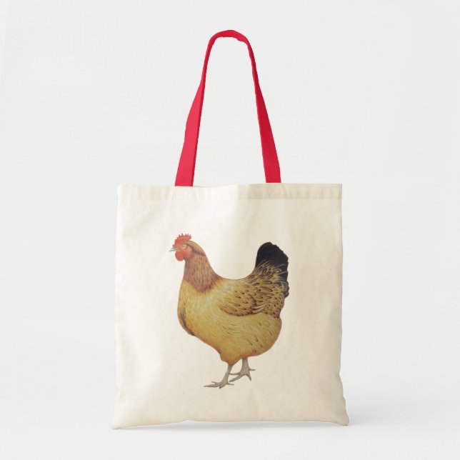 Bolso De Tela Pollo 2012 (Frente)