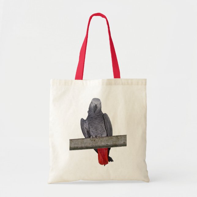 Bolso De Tela Polly Bag (Frente)