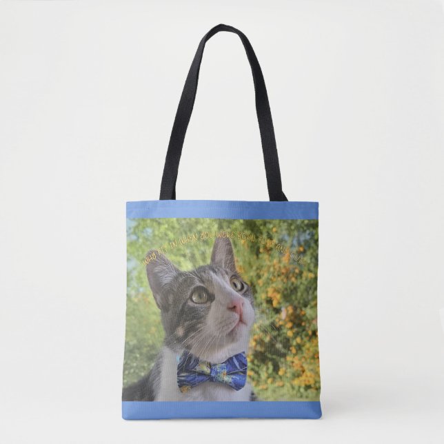 Bolso De Tela Por qué encajar (Anverso)