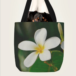 Bolso De Tela Portafolios de impresión de tela frangipani blanco
