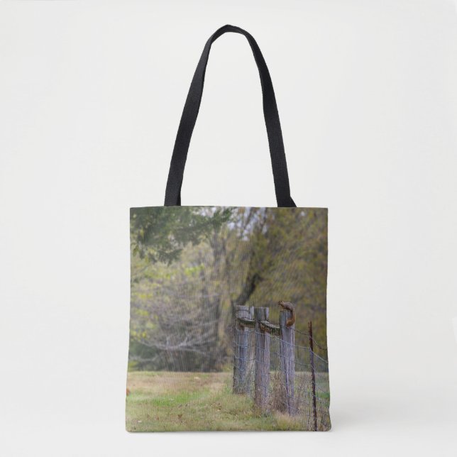 Bolso De Tela Pose de la cerca de la ardilla (Anverso)