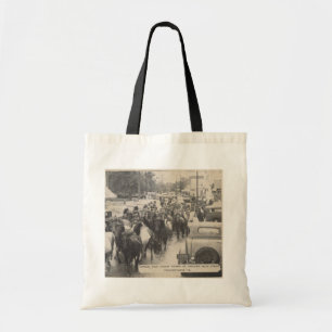 Bolso De Tela Postal Chincoteague Pony Vintage 1941