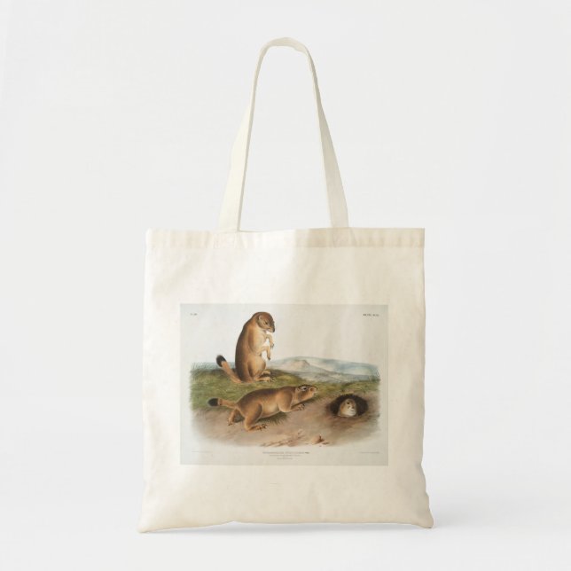 Bolso De Tela Prairie Perro o Prairie marmot ardilla Camping (Frente)