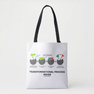 Bolso De Tela Proceso de transformación dentro del sustrato enzi