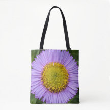 Purple Fleabane Daisy Floral