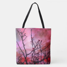 Ramas Oscuras, Ropa Roja Y Cielo Feroz