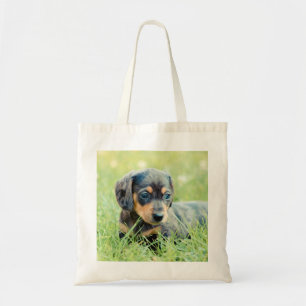 Bolso De Tela Recuerdo de los Doxies del Helado-Lovebug