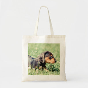 Bolso De Tela Recuerdo de los Doxies del Helado-Lovebug