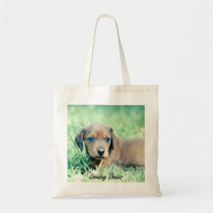Bolso De Tela Recuerdo de los Doxies del wks-Lovebug de Jovi 4